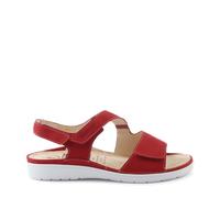 Diverse - Gina red red (4000) - Gr. - 38