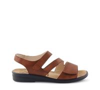 Diverse - Sonnica cognac cognac (2600) - Gr. - 7