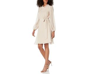 DKNY Damen Ballonärmeln und Gürtel Kleid, Chmp/Gld/SLV, 36