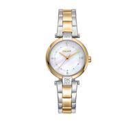 Dkny Essential Mini 28 Mm Damenuhr One Size Silver Grey / Yellow Gold / Mother Of Pearl / Antique White / Mineral