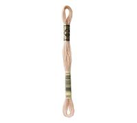 DMC 117-950 6 Strand Stickerei Baumwolle Floss, Light Desert Sand, 8.7-Yard
