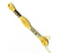 DMC gestrandet Baumwolle Nr. 676