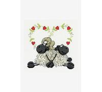 DMC - Springer Spaniel