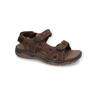 Dockers by Gerli Herren Trekking Sandalen, Männer Sandalen,Outdoorsandalen,sportsandalen,Sommerschuhe,Freizeitschuhe,schoko,44 EU