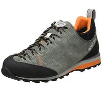 Dolomite Unisex-Erwachsene Zapatilla GTX DIAGONAL Shoe, Silver Green Sun Orange