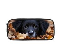 Dolyues Federmäppchen für Kinder, Mädchen, Schreibwaren, Kinder, Schulanfang, Federmäppchen mit Reißverschluss, großes Fassungsvermögen, Schwarzer Hund, Taschen-Organizer