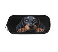 Dolyues Großes Federmäppchen für Kinder, Schüler, Schulbedarf, Stiftetasche mit Reißverschluss, Niedlicher Dackel, Taschen-Organizer