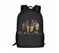 Dolyues Schulranzen für Kinder, Mädchen, Jungen, Schulranzen für Teenager, lässiger Schulrucksack, großes Fassungsvermögen, Rucksack mit Seitentasche, Dackel-Design, Einheitsgröße
