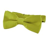 DonDon Edle Kinder Fliege gebunden und längenverstellbar 9 x 4,5 cm grün glänzend in Seiden Look