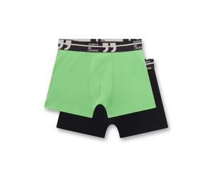 DP Shorts 164