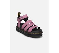 Dr. Martens , pink(pink), Gr. 37