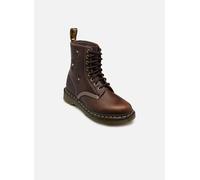 Dr. Martens - Stiefeletten & Boots 1460 Pascal Flower - Braun - Größe 37