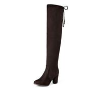DREAM PAIRS Klassische Overknee-Stiefel für Damen mit spitzer Zehenpartie, hohem Blockabsatz, seitlichem Reißverschluss und Schnürung hinten.,Size 36,Braun,HIGHLEG