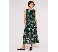 Apricot Midikleid Damen grün, 34