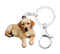 DUOWEI Acryl Beige Labrador Hund Schlüsselanhänger Süß Puppy Haustiers Schlüsselring Handtasche Geldbörse für Frauen Teens Mädchen Geschenke (Beige)