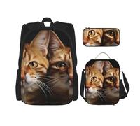 Dwrepo 3-teiliges Rucksack-Set mit Lunch-Tasche, Stiftebox, Katzen-Reiserucksack, großes Fassungsvermögen, Laptop-Rucksack für Männer und Frauen, lässige Tagesrucksäcke, Lunchbox, Stifteetui, 3-in-1