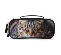DWVSFJM Federmäppchen aus PU-Leder, wasserdicht, tragbar, Make-up-Tasche mit Reißverschluss, Katze, schlafend, Federmäppchen für Bürobedarf, Make-up-Tasche