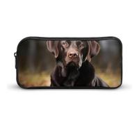 DWVTFSM Federmäppchen mit Labrador Retriever, großes Fassungsvermögen, niedliches Federmäppchen, Make-up-Kosmetiktasche für Damen und Herren