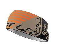 Dynafit Graphic Performance Stirnband (Größe ONE SIZE, grau)