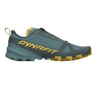 Dynafit Herren Traverse GTX Schuhe (Größe 45, blau)