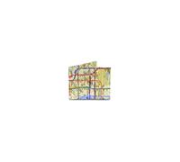 Dynomighty Mighty Wallet - Ultraleichte Geldbörse Hauchdünn für Geeks und Minimalisten Subway Map