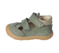 EBI eukalyptus - Gr. - 20