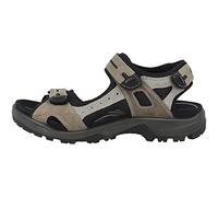 ECCO Herren Offroad Sandalen, Vetiver Wild Dove, 47 EU