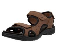 - Hike Sandal 3 Straps - 196-30-7183 42