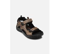 Ecco - Sandalen Offroad Andes II M - braun - Größe 46