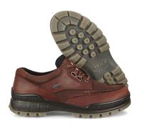 ECCO Wanderschuhe Track 25 Low GTX (Alltagschuhe, Leder, wasserdicht) braun Herren, Größe Euro (US) 40