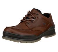 ECCO Wanderschuhe Track 25 Low GTX Leder, wasserdicht, dunkelbraun, Herren, Größe 45