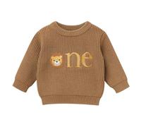 EFOGEP Baby Jungen Mädchen ersten Geburtstag Pullover niedlich Bestickt eine Lange Ärmel gestrickt Pullover Top Kleinkind Winter warm Kuchen Smash Fotoshooting Sweatshirt Brown 1 Year