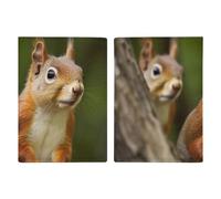 Eichhörnchen-Reisepasshülle, Reisepasshülle mit Kreditkartenfächern und Bordkartenfach für Reisen, Familienausweis, Dokumenten-Organizer (20,3 x 13,7 cm)