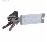 Eichner Schlüsselanhänger Fix 9208-00648 hgr 100 Stück