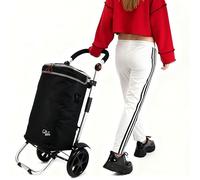 Einkaufstrolley XXL Leichtlauf-Räder Shopping-Trolley | praktisch 40 Liter Volumen Roller Paketträger multifunktional