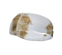 Eisbär-Aufdruck, Sport-Stirnband, für Damen und Herren, Workout, Schweißbänder, Stirnbänder für Yoga, Fitnessstudio, Camping