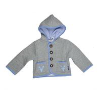 Eisenherz Baby Jungen Kapuzenjacke Sweatjacke mit Geweih, in grau und hellblau - fescher Trachtenlook in Größe 86/92