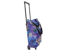 Ejoyous Einkaufswagen, 600D Oxford Tuch Faltbarer Einkaufstasche mit Rollen Einkaufstrolley Handwagen Lebensmittelwagen Teleskopstange für Den Haushalt Outdoor Shopping