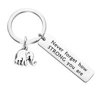 Elefanten Schlüsselanhänger aus Metall symbolisiert Stärke, Weisheit, motivierende Büro Schreibtischdekoration für und Erfolg, inspirierende Geschenke, handgefertigter Elefanten Schlüsselanhänger