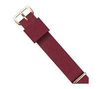 14mm 16mm 18mm 20mm 22mm Nylon Uhrenarmband Roségold und Silber Schnalle Männer und Frauen Uhrenarmband, 14mm