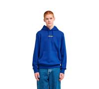 Element Lowcase Bp Kapuzenpullover