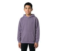 Element Lowcase Pigment Kapuzenpullover 14 Jahre Graystone