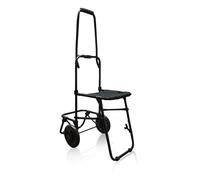 ELITE BAGS ROLL & SIT Trolley schwarz 1Stück