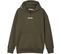 ellesse Herren Hoodie - PERSHUTA 2, Sweatshirt, Kapuze, Logo, lang, einfarbig Dunkelgrün M