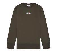 ellesse Herren Sweatshirt - KIAMTO 2 , Sweater, Rundhals, Langarm, Logo Dunkelgrün L