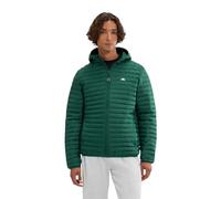 Ellesse Herren Übergangsjacke Pallochi (DE/NL/SE/PL, Alphanumerisch, XL, Regular, Regular, dark green)