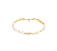 Elli Echte Kauri Muscheln Beach 925 Silber vergoldet 32 Damen