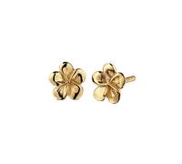 Elli Ohrstecker Frangipani 925 Sterling Silber goldfarben Damen