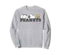 Erdnüsse Snoopy Woodstock Relax Champion College Classic Fun Sweatshirt