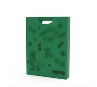Ergobag Dinosaurier Heftebox 25/26
